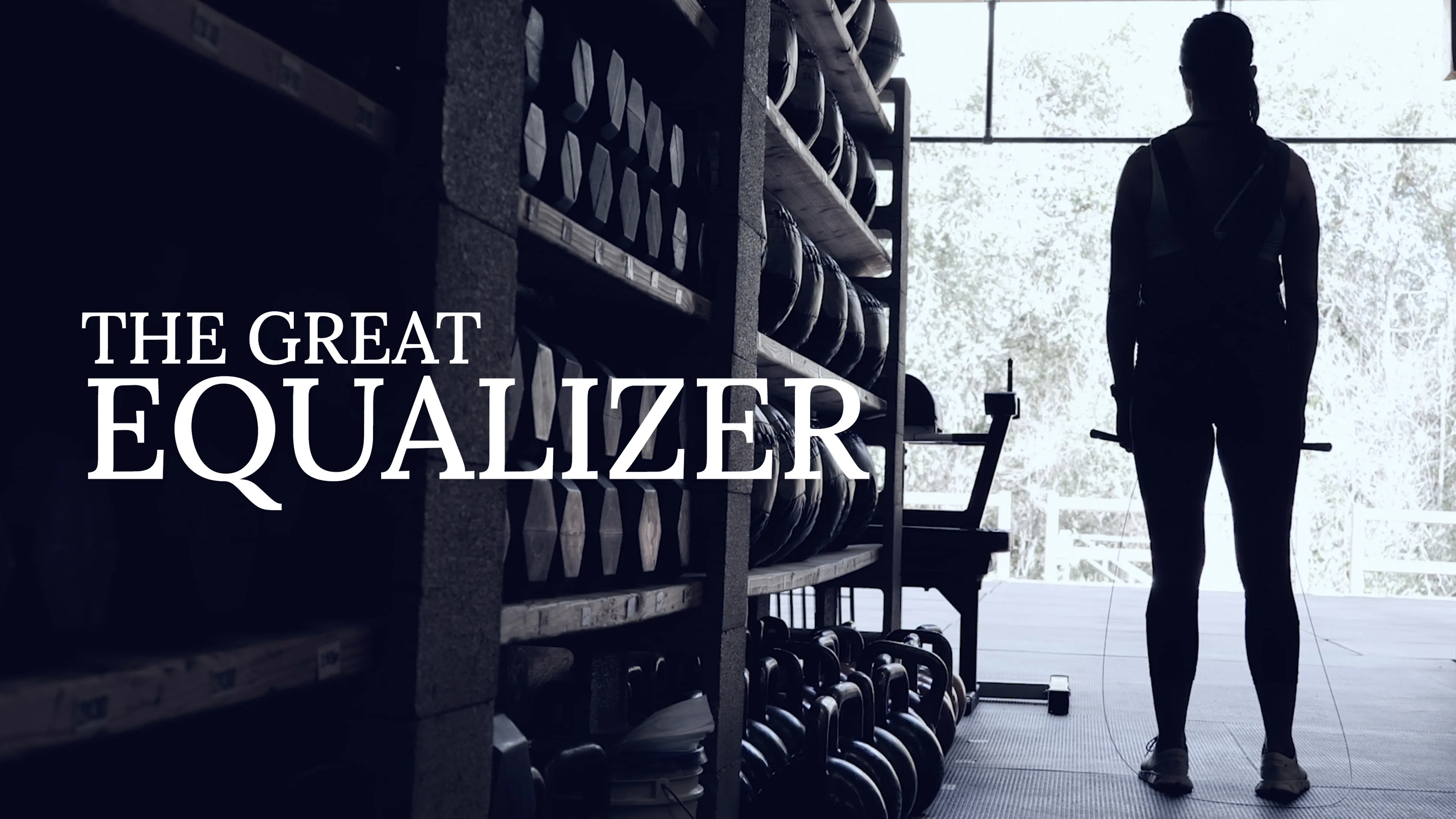 The Great Equalizer poster